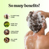 Cleansing Swimmers Shampoo and Conditioner Set Sulfate Free Clarifying Chlorine Shampoo and Conditioner for Swimmers for