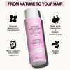 Pacifica Vegan Collagen Hydrating Shampoo Conditioner Set Moisturizing Hair Care for Dry Brittle Hair Biotin Avocado Oil