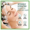 Moraz Herbal Moisturizing Shampoo for Dry Damaged Hair ColorSafe No Paraben SLSFee No Harsh Salts Hydrating Shampoo with
