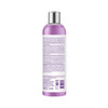 Design Essentials Agave Lavender SulfateFree Moisturizing Shampoo Nourishing Botanical Blend with Agave and Lavender to