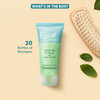 Eco Botanics Travel Size Hotel Shampoo 20 Count 085 oz Bottles Guest Amenities for Vacation Rentals and Short Term Renta