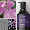 Theorie Purple Sage Brightening Shampoo Balance Tone Brighten Blonde Silver Grey Bleached Color Treated or Highlighted H