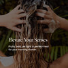 LATHER Yuzu Bergamot Hair Wash 8 fl oz Daily Shampoo Cleanser Revitalize Hair Yuzu Orange Bergamot Citrus Sensitive Skin