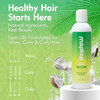 MopTop Gentle Shampoo Every Day Curly Hair Sulfate Free Shampoo Improves Moisture Reduces Frizz Paraben Free Natural Hai