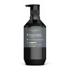 Theorie Charcoal and Bamboo Detoxifying Shampoo Purify Restore Nurture Color Keratin Treated Hair Sulfate Free Suited Fo