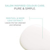 LOreal Paris EverPure Scalp Care Detox Sulfate Free Shampoo for ColorTreated Hair AntiDandruff Invigorates Scalp and Rem