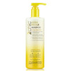 GIOVANNI 2chic UltraRevive Shampoo Pineapple Ginger to Moisturize Dry Unruly Hair Coconut Guava Aloe Vera ProVitamin B5