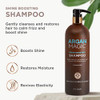 Argan Magic Shine Boosting Shampoo Gently Cleanses and Restores Hair to Calm Frizz and Boost Shine Made in USA Paraben F