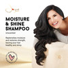 Joyce Giraud Miracle Elixir Moisture Shine Shampoo Hydrates Protects Color 8 Fl Oz