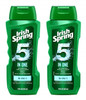 Irish Spring 5in1 Shampoo Conditioner Body Wash Face Wash and Deodorizer 18 oz Pack of 2