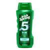 Irish Spring 5in1 Shampoo Conditioner Body Wash Face Wash and Deodorizer 18 oz Pack of 2