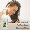 Ginesis Bio Healthy Hair Natural Shampoo 32Ounce
