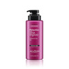Jenoris Pistachio Shampoo for Color Treated Dry Frizzy Hair 169 Fl Oz