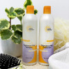 EARTH SCIENCE Extra Gentle Fragrance Free Shampoo Conditioner Set 12 oz