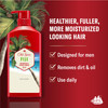 Old Spice Mens 2in1 Shampoo and Conditioner Fiji Coconut Tropical Wood Scent Healthier Fuller Moisturized Looking Hair 2