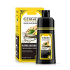 Ginger Black SemiPermanent Hair Dye Shampoo Instant 30Day Color Matter Completes in 5 Minutes 500ml Ginger Fragrance