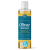 Baar Olivae Shampoo Formulated with Organic Olive Oil to Nourish Cleanse Infused with Aloe Vera Jojoba Oil Proteins to R