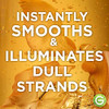Garnier Whole Blends Moroccan Argan Camellia Oils Illuminating Shampoo for Silky Shine 125 Fl Oz 3 Count Packaging May V