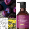 Theorie Helichrysum and Plum Nourishing Shampoo Enrich and Soothe Suited for Dry Over Processed Hair Protects Color Kera