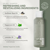 Neuma Re Neu Shampoo 85 Fl Oz Revitalizing Soothing Gentle Cleansing Sulfate Free Shampoo Peppermint Vanilla Scent
