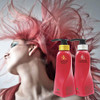 ELC Pure Olove Color Care Shampoo Color Treated Hair SulfateFree and Sodium ChlorideFree Organic Olive Oil 12 ounces