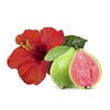 Sweet Sassy 3 Shampoo Bars Made in the USA All Natural Organic SLS Free Plastic Free Safe for Color Treated Hair Hawaiia