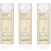 GIOVANNI ECO CHIC Golden Wheat Deep Cleanse Shampoo Shampoo for Oily Hair Deep Cleansing With Botanical Oils Helps Encou