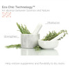 GIOVANNI ECO CHIC Golden Wheat Deep Cleanse Shampoo Shampoo for Oily Hair Deep Cleansing With Botanical Oils Helps Encou