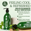 Luseta Shampoo and Conditioner Set with Tea Tree and Argan Oil for Oily Hair Clarifying Fighting Dandruff Sulfate Parabe