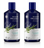 Avalon Organics Biotin BComplex Thickening Shampoo 14 Fluid Ounce Pack of 2