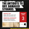 Tigi Bed Head Urban Antidotes Resurrection Shampoo Conditioner Damage Level 3 2536 OuncePack of 2