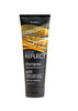 SHIKAI PRODUCTS SHAMPCOLOR REFLECTGOLD 8 FZ Pack of 2