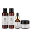 Fable Mane Good Karma Hair Gift Set for Stronger Healthier Hair Travelsized Minis of HoliRoots Hair Oil Hydrating Shampo