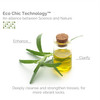 GIOVANNI Tea Tree Triple Treat Invigorating Shampoo 338 oz Liter Cooling Peppermint Eucalyptus Rosemary Helps Dry Flakin