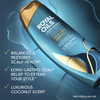 Head Shoulders Royal Oils AntiDandruff Shampoo and Conditioner Twin Pack 1 Pyrithione Zinc Curly Hair Coily Hair Scalp R