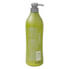Salon In Recamier Pro Keratin Ultra Force Shampoo for Damaged Weak Hair Strengthens Repairs Smooths 338 fl oz