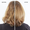 Pantene Shampoo Conditioner and Hair Treatment Set Volume Body for Fine Hair Safe for ColorTreated Hair