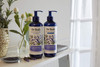 Dr Teals Thick Full Essential Oil Shampoo Lavender 16 Fl Oz
