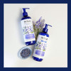 Dr Teals Thick Full Essential Oil Shampoo Lavender 16 Fl Oz