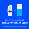 Head Shoulders AntiDandruff Shampoo and Conditioner with 1 Pyrithione Zinc Classic Clean 2in1 Twin Pack Fresh Scent Flak