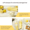 Valmona Egg Deep Nutrition Shampoo Conditioner Set Good For Dry And Damage Hair Contains honey olive oil