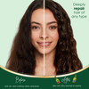 Frulatte Pure Olive Oil Clarifying Shampoo and Conditioner Set Creamy Hydration Formula Enriched with Shea and Argan Oil
