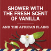 Old Spice Moisturize Shampoo for Men with Shea Butter Vanilla Twin Pack 219 Oz Each