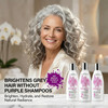 Maison 276 PreShampoo Shampoo and Conditioner for Silver Gray Blonde Hair 3Step System ToneBrightening and Enhancement N