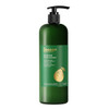 Cocoon Pomelo Oil Shampoo with Xylishine Amino Acid Hair Growth Product for Thinning Damaged Organic Shampoo No Sulfate