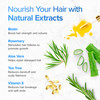 DermaChange Biotin Shampoo and Conditioner Set Hair Growth Shampoo and Conditioner for Men Women Shampoo Conditioner for