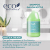 Terra Pure 1Shoppe Eco Botanics Natural Shampoo with Raw Honey White Tea Gallon Jug Bulk Toiletries for Airbnb Vacation
