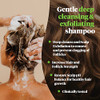 Reviv3 Procare PREP Cleanser Shampoo Clinically Tested Hair and Scalp Care AntiThinning and Fine Hair Cleansing Shampoo
