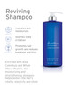 Kerstin Florian Reviving Shampoo Moisturize Boost Shine Aloe and Wheat Protein Detangle Hydrate Dull Hair All Hair Types
