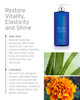 Kerstin Florian Reviving Shampoo Moisturize Boost Shine Aloe and Wheat Protein Detangle Hydrate Dull Hair All Hair Types